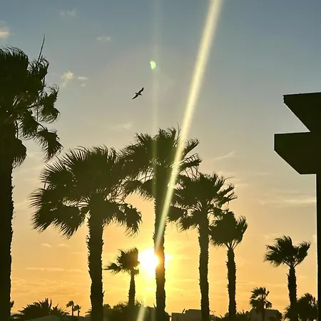 فيلة Sunset Zafiro