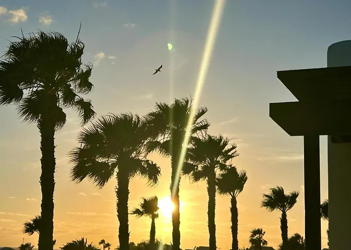 فيلة Sunset Zafiro